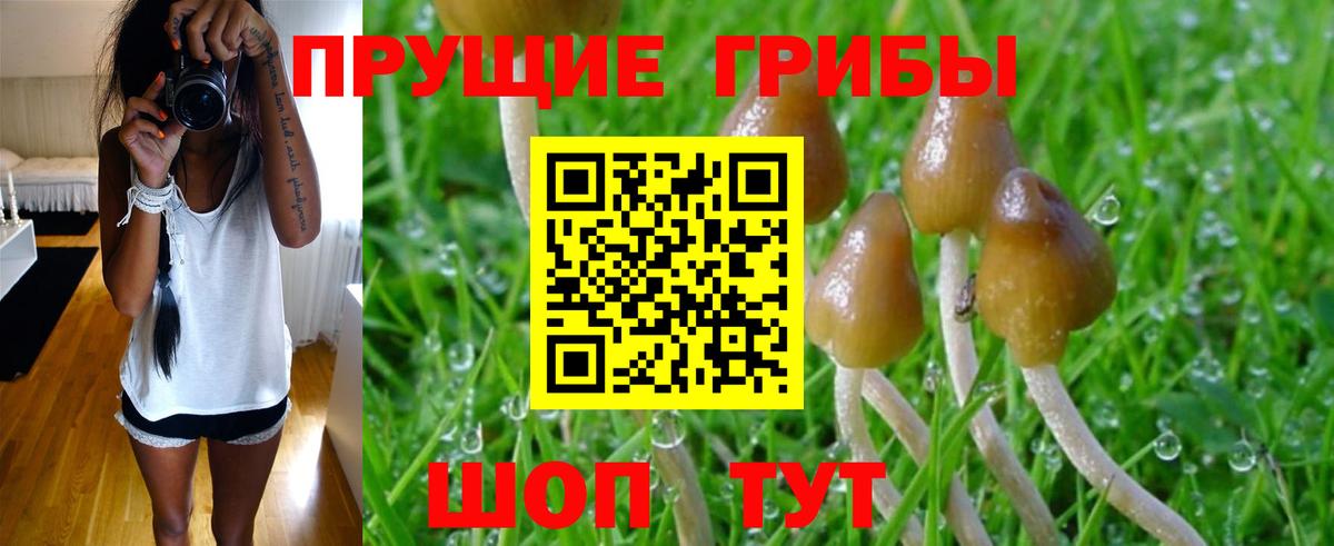 Галлюциногенные грибы MAGIC MUSHROOMS Елец
